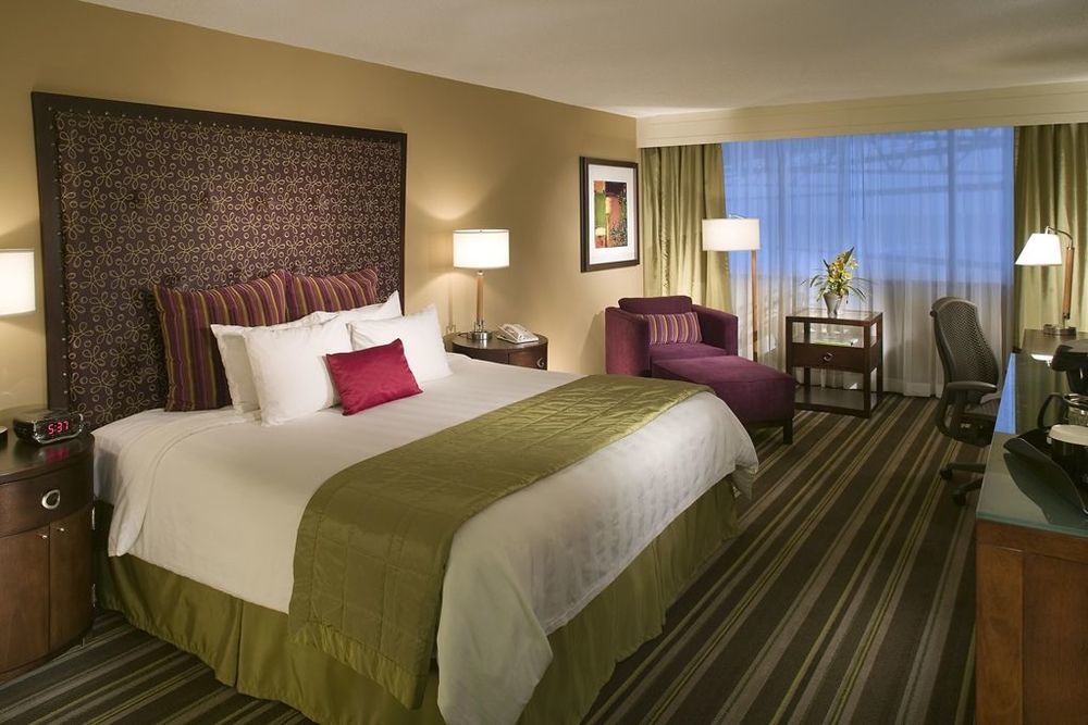 Sonesta Hotel Houston Iah Airport Cameră foto